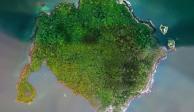Isla Boná, el impresionante santuario de aves en el Pacífico (VIDEOS)