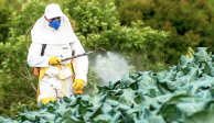 Monsanto pagará 81 mdd a un hombre por efectos cancerígenos