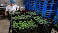 En los primeros siete meses del año, el comercio total agroalimentario de México con sus socios comerciales alcanzó 47 mil 002 millones de dólares.