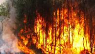 Incendios forestales en México