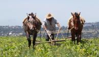 El Chihuahua, campesinos exigen que México deje de pagar agua a Estados Unidos.