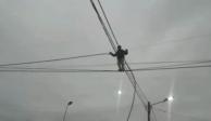 Ladrón se sube a cables de luz para robárselos