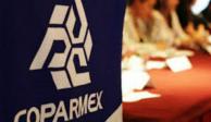 La Coparmex llamó a dejar participar al empresariado en el mercado de la generación de energía eléctrica.