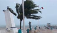 QUINTANA ROO: En Playa del Carmen, decenas de calles quedaron anegadas, se reportaron árboles y postes caídos.