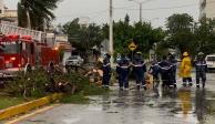Bomberos y personal de Protección Civil atienden las primeras afectaciones por el impacto del huracán "Delta".