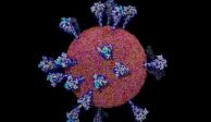 Un modelo átomo por átomo del nuevo coronavirus.