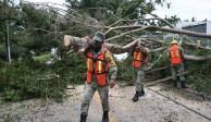 Elementos del Ejército realizan labores para liberar carreteras afectadas en el sureste por el paso del huracán "Delta".