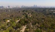Trabajos de restauración ecológica en el Bosque de Chapultepec.