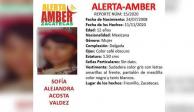 Ficha de la Alerta Amber emitida por la desaparición de la menor.