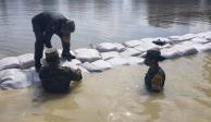 Elementos del Ejército refuerzan las costaleras para evitar el desborde de ríos en Tabasco.