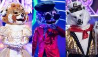 Mapache, Disco Ball y Oso Polar son algunos de los finalistas de ¿Quién es la máscara?