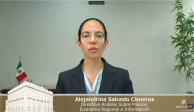La directora de Análisis sobre Precios, Economías Regionales de Información del Banxico, Alejandrina Salcedo Cisneros, en videoconferencia.