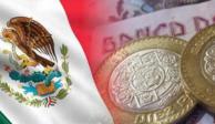 La economía mexicana se vio seriamente afectada el año pasado a causa del COVID-19.