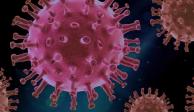 Según la Secretaría de Salud, el virus del COVID-19 predominará en invierno y no tanto en estaciones calurosas.
