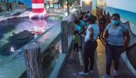 El Acuario Inbursa reabrió sus puertas al público y podrá entrar el 20 por ciento de su aforo. Cada visitante debe pasar por filtros sanitarios para ingresar; el lugar cuenta con medidas para evitar contagios.