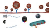 SARS-CoV-2 B.1.1.7, el virus más peligroso que puede ser dominante en EU