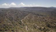 Brigadistas comenzarán a analizar cuantas hectáreas fueron afectadas en Las Canoas durante el incendio forestal..