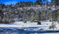 Miquihuana. Esta región boscosa ubicada en lo más alto de la Sierra Madre, está a menos de dos horas de Ciudad Victoria. Es el sitio perfecto para acampar y hacer actividades al aire libre; su belleza se ve exponenciada en invierno.