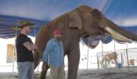 Arturo Islas publicó en sus redes sociales el rescate del elefante "Big Boy"