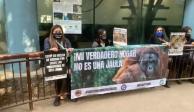 Activistas protestan en el Zoológico de Chapultepec, en la CDMX.