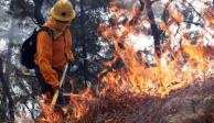 Hay 72 incendios forestales activos en México