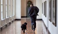 La familia Obama se despidió este fin de semana de uno de sus cachorros, el cual perdió la batalla contra el cáncer
