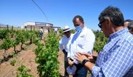 El candidato de la Alianza “Va por Sonora” visitó&nbsp;el ejido Zaragoza, hectáreas dedicadas al vino de Sonora.&nbsp;