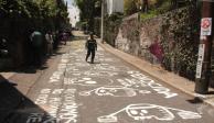Si pintaron diversos mensajes sobre el asfalto de la calle frente a la casa de Luis Echeverría .