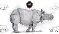 Avistamiento de 2 rinocerontes de Java da esperanza a su especie