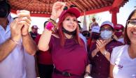 Tribunal Electoral aprueba recuento total de votos en Campeche.