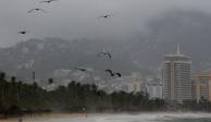 La tormenta tropical "Enrique" ha causado afectaciones en varios estados, entre ellos Jalisco, Colima, Michoacán y Guerrero.