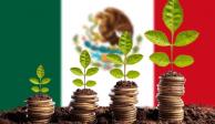 Economía mexicana, está en camino de ser más próspera
