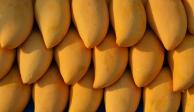 El mango ataulfo es producido en la región de Soconusco, Chiapas.