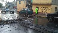 Fuertes lluvias provocan caída de arboles y postes en CDMX