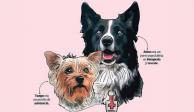 Ilustración de Athos y Tango, dos perritos rescatistas que murieron tras ser envenenados en junio de 2021.