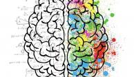 La conciencia y el cerebro dividido
