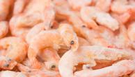 Alertan por Salmonella en camarones congelados de varias marcas