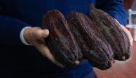 "El cacao se ha posicionado en México y América Latina como uno de los productos que suma a la recuperación productiva y económica", dijo Víctor Villalobos.