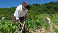 El Consejo Nacional Agropecuario aseveró que este sector ha enfrentado en los últimos años una serie de “embestidas”