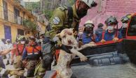 El Ejército rescató a un perro debajo de la zona siniestrada en Tlalnepantla.
