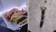 Parte de un insecto y pelo están entre las cosas que encontró en los tacos de la calle