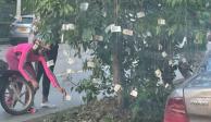 El árbol de billetes "apareció" junto a un mensaje en Cali, Colombia