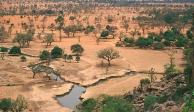 Millones de árboles fueron encontrados en el desierto del Sahara en África