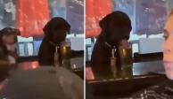 Un perro bebiendo cerveza sorprendió a los clientes de un bar
