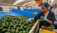 El valor de las exportaciones agroalimentarias de México al noveno mes de 2021 fue el más alto reportado en 29 años.