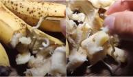 Se está compartiendo la alerta sobre plátano con gusanos, que viene desde Somalia, pero es falso