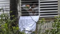El disidente desde su ventana en La Habana, el pasado 14 de noviembre.