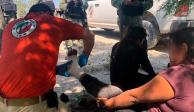 Migrantes reciben asistencia médica antes de continuar su camino al norte de México