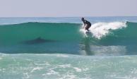 Un surfista sufrió la mordida de un tiburón en el mar de California y murió