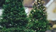 El árbol navideño puede ponerse a partir del 27 de noviembre.
